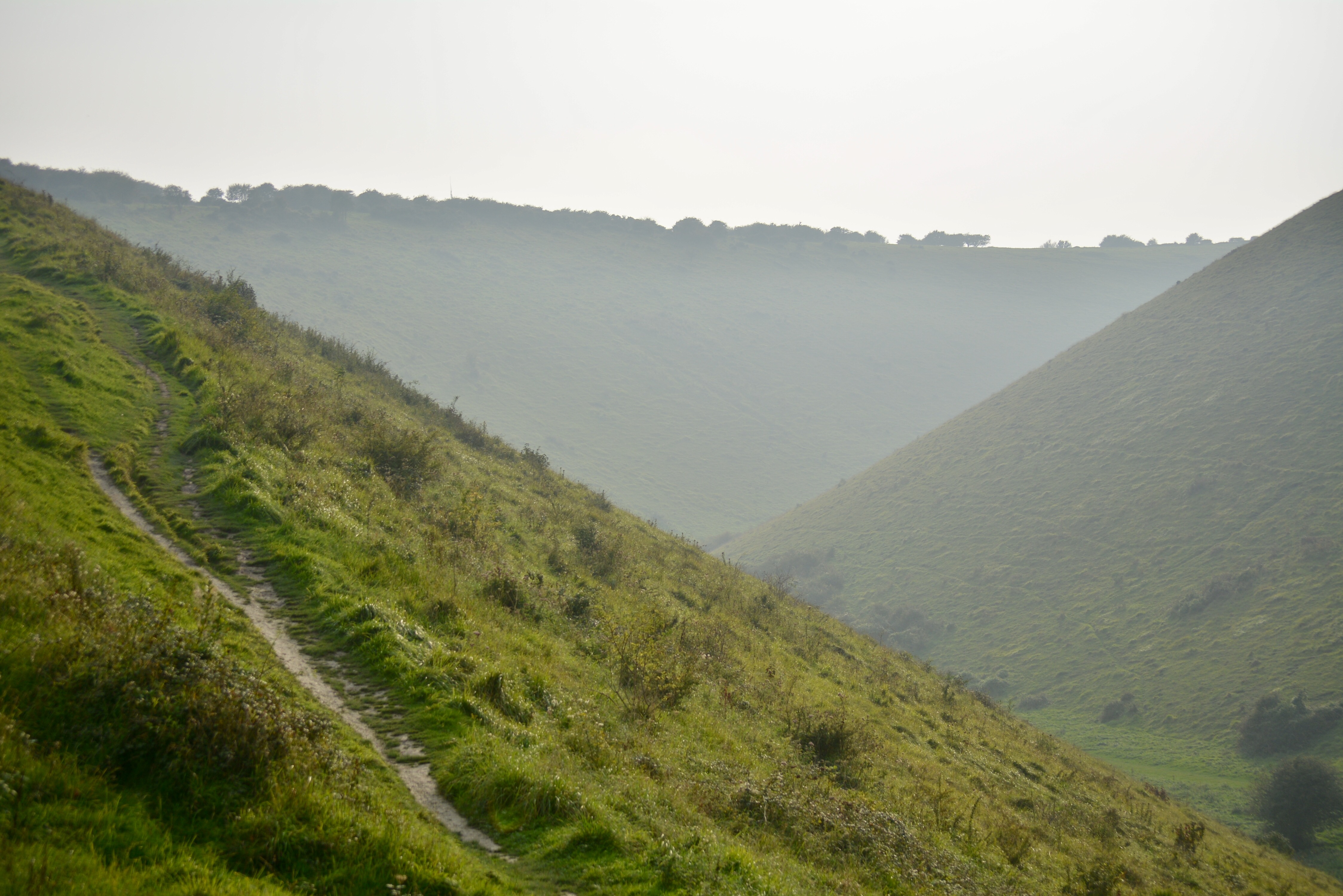 0D3B0D01-F3BB-4D85-9D17-0ABA509166AC