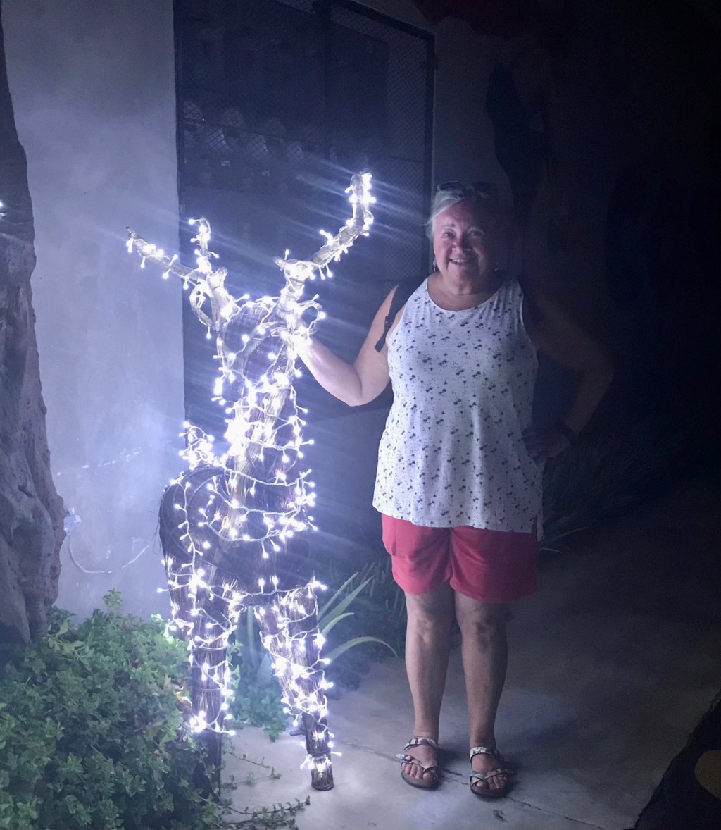 Christmas in Puerto Escondido,&nbsp;Oaxaca